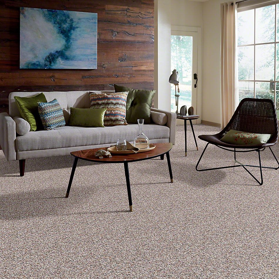 Shaw Floors St. Bryant 12 Hearth Stone 19585_00703