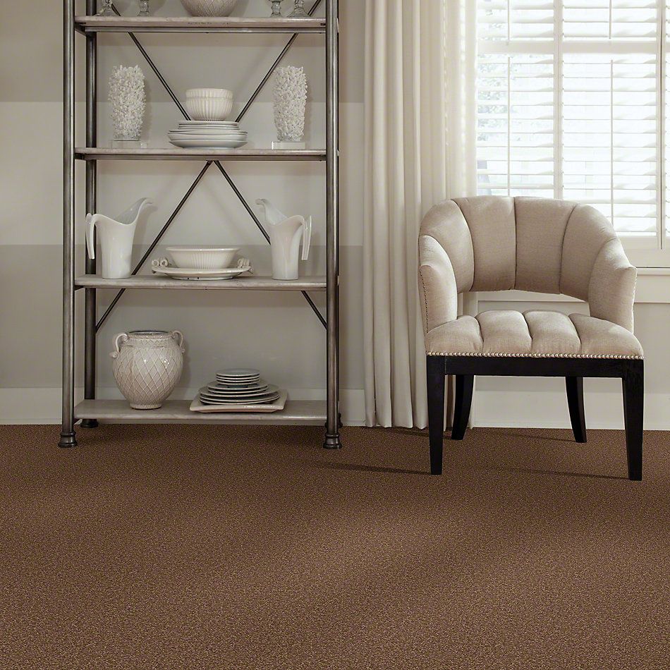 Shaw Floors Couture’ Collection Ultimate Expression 12′ Pine Cone 00703_19698