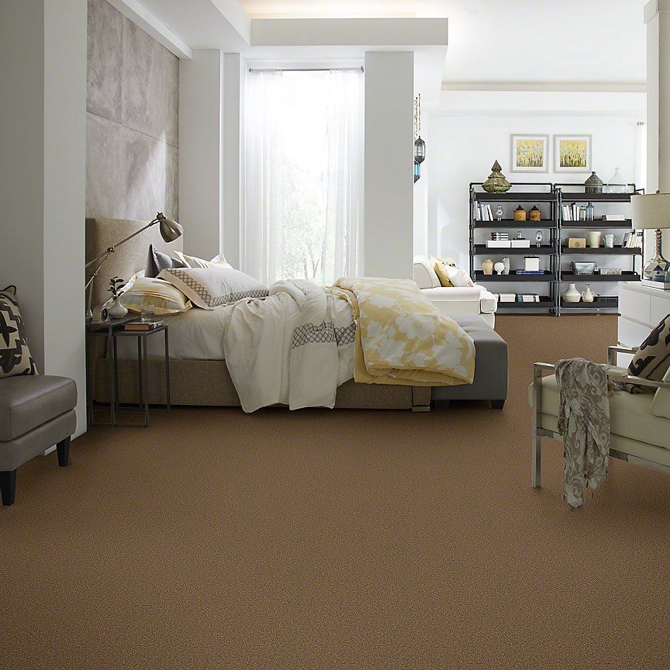 Shaw Floors SFA Passageway III Jute 52S26_00703