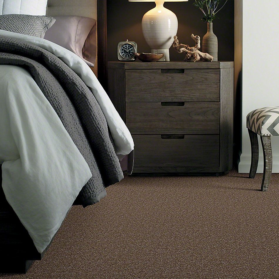 Shaw Floors Town Creek II Jute 52S30_00703
