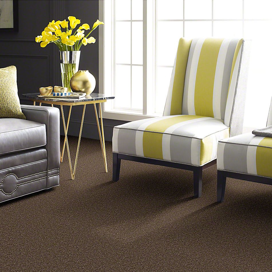 Shaw Floors Town Creek II Jute 52S30_00703
