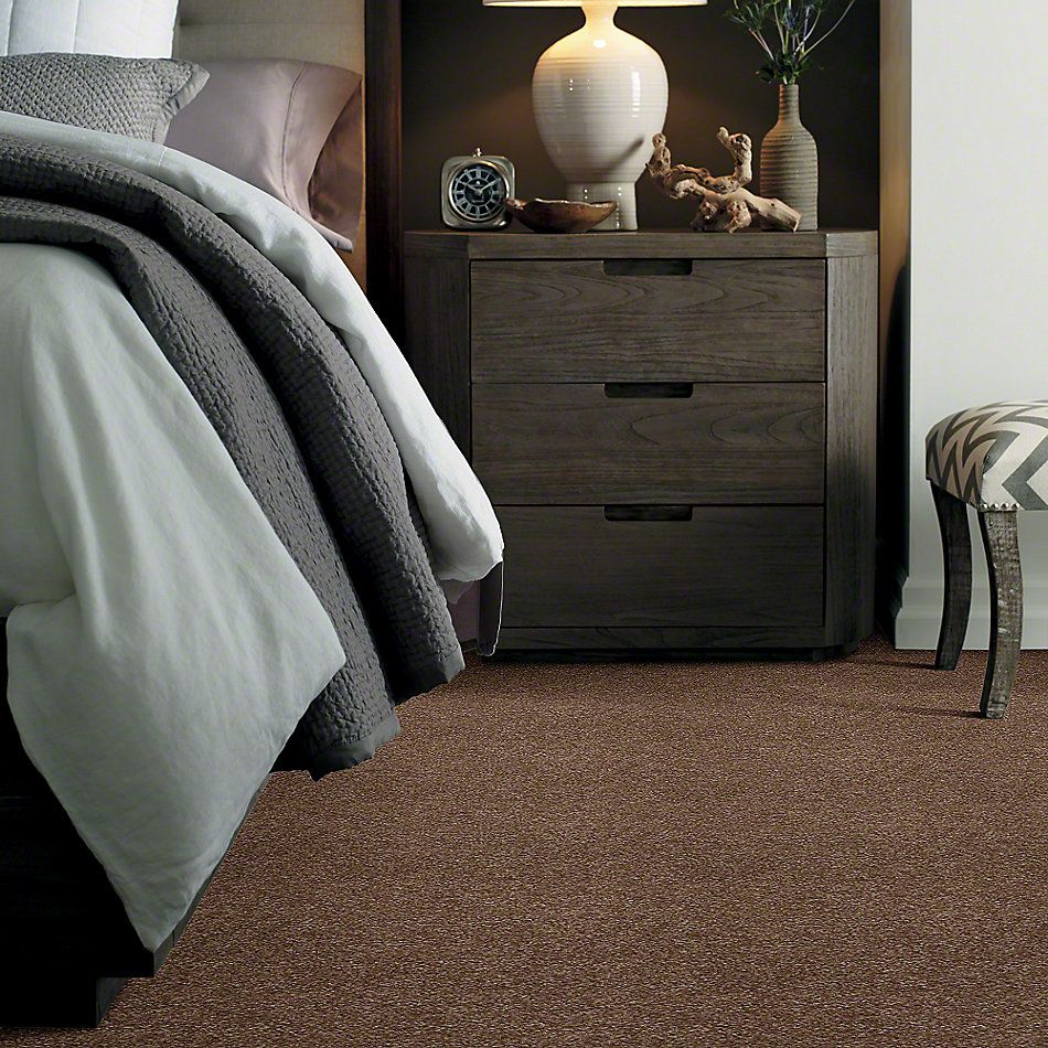 Shaw Floors Town Creek I 15′ Jute 52V12_00703