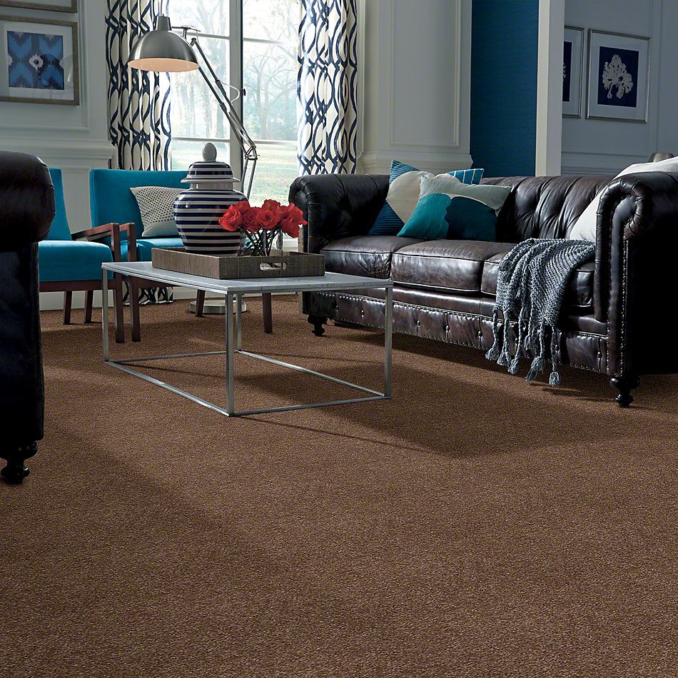 Shaw Floors Town Creek I 15′ Jute 52V12_00703