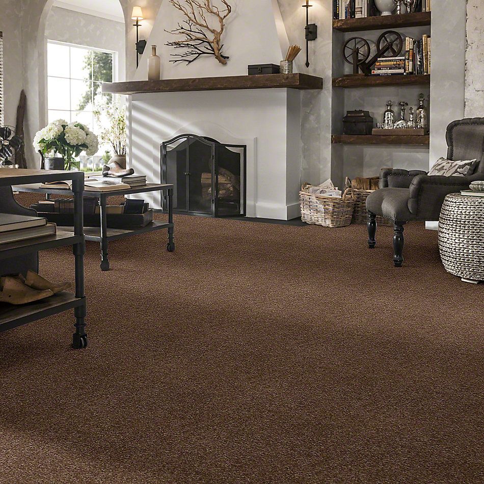 Shaw Floors Town Creek I 15′ Jute 52V12_00703