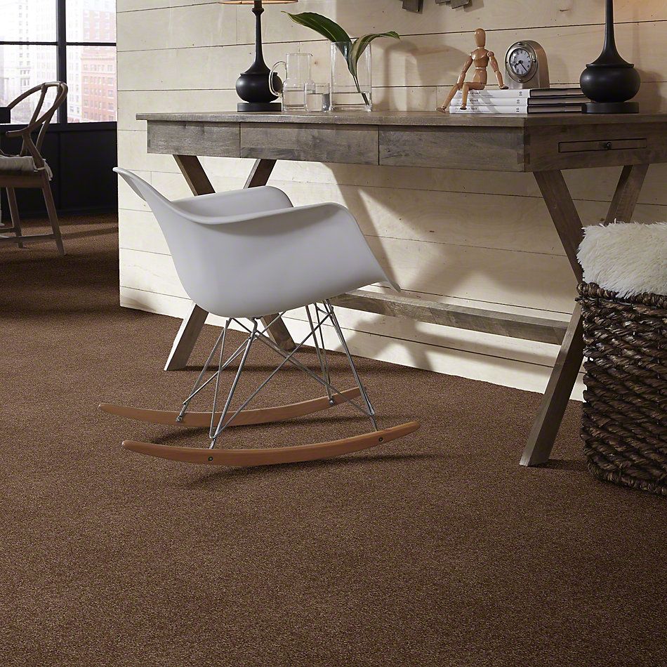Shaw Floors Town Creek I 15′ Jute 52V12_00703
