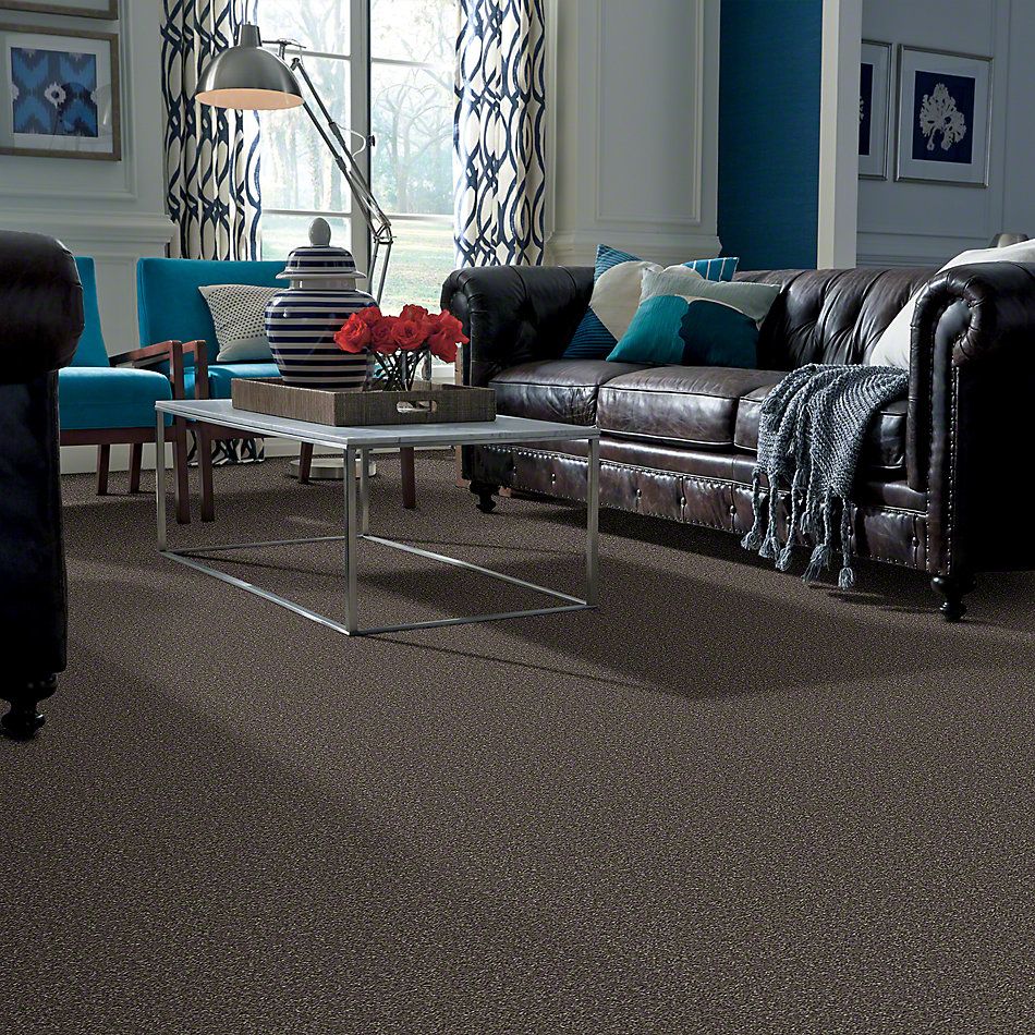 Shaw Floors Full Court 12′ Driftwood 52Y46_00703
