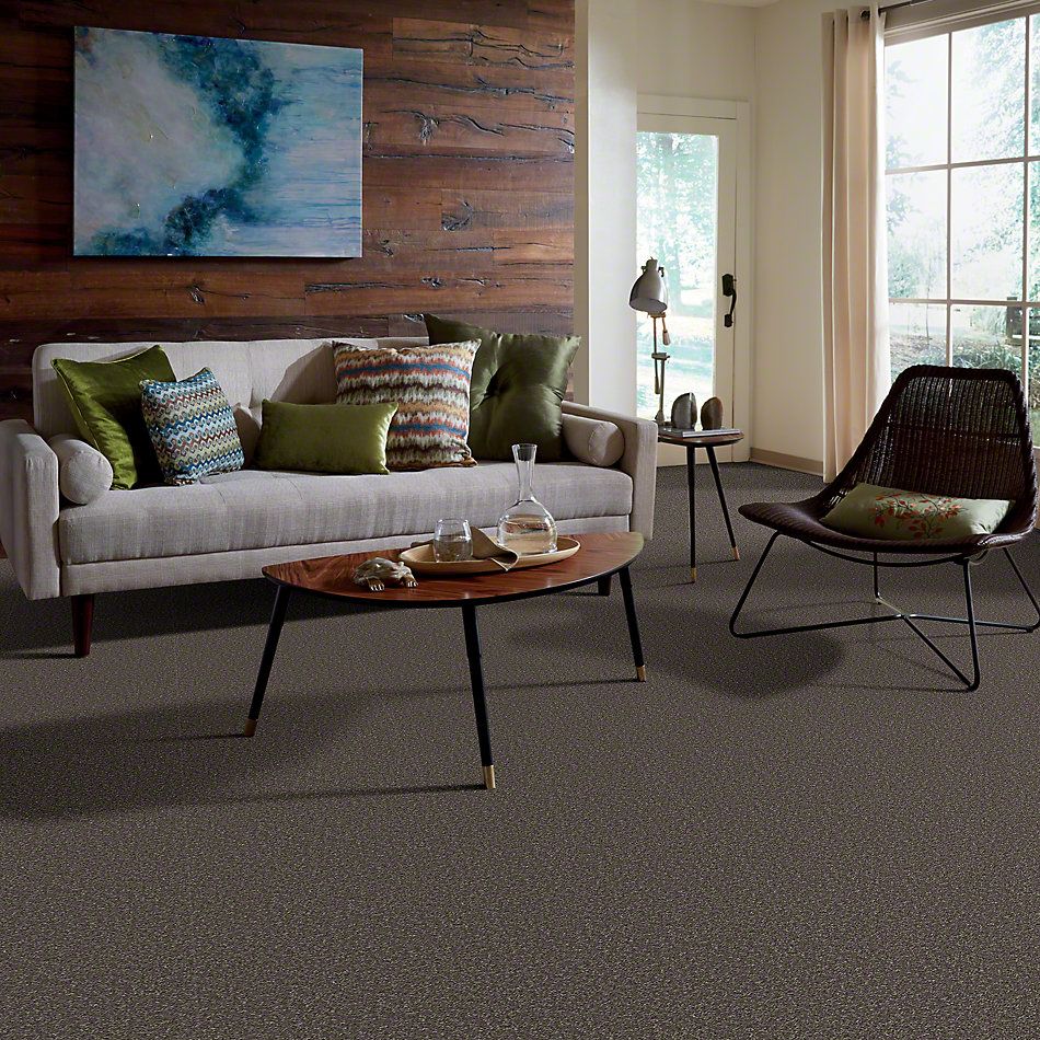 Shaw Floors Full Court 12′ Driftwood 00703_52Y46