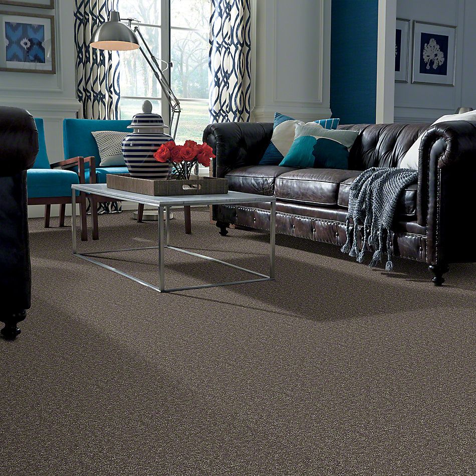 Shaw Floors Full Court 15′ Driftwood 52Y82_00703