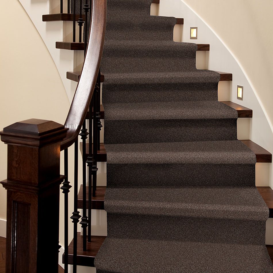 Shaw Floors Shaw Design Center Beautifully Simple II 15′ Briar Patch 00703_5C752