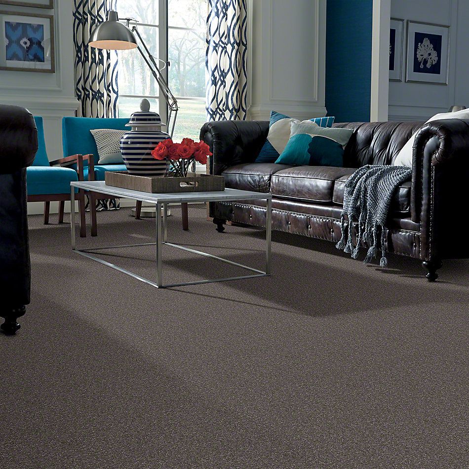Shaw Floors Shaw Design Center Opportunity Knocks Stone Hearth 00703_5C788