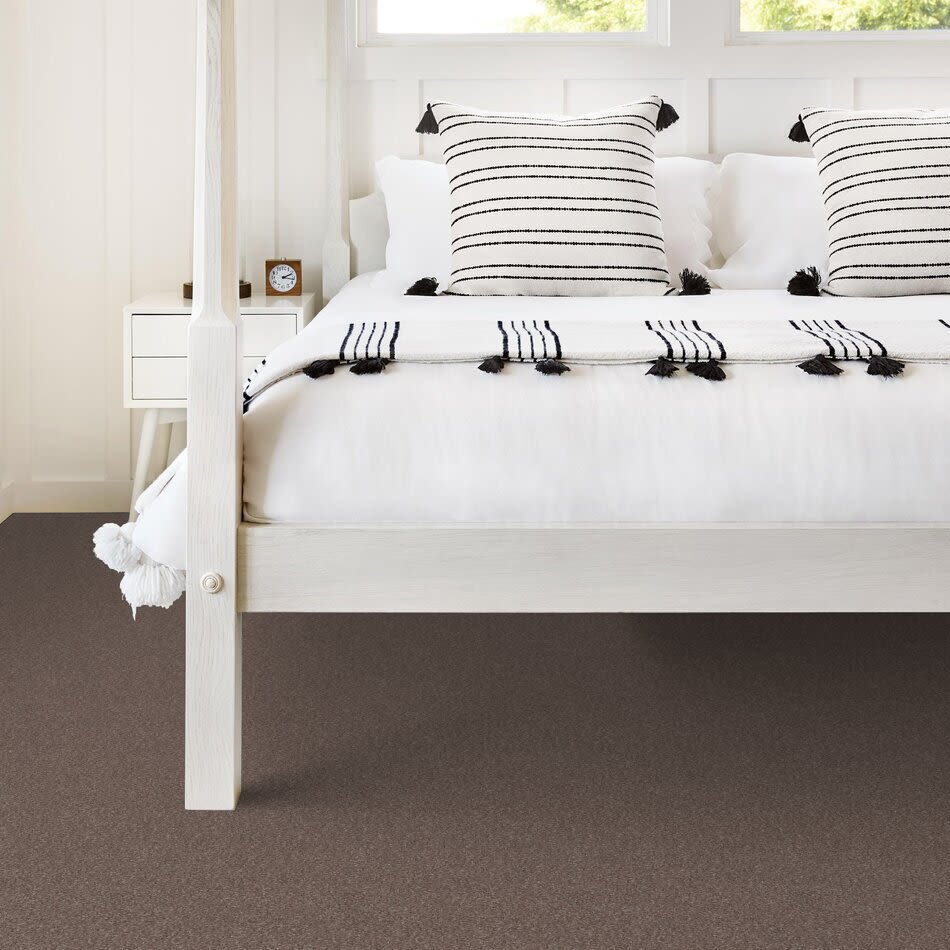 Shaw Floors Carpet Land Blanche 15 Briar Patch 00703_755X6