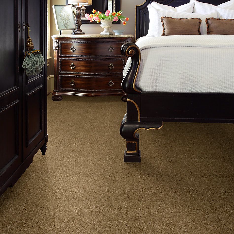 Shaw Floors SFA Cashmere Iv Lg Navajo 00703_CC12B