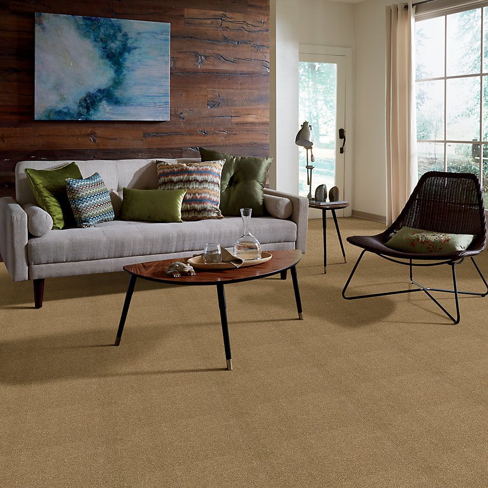 Shaw Floors SFA Cashmere Iv Lg Navajo 00703_CC12B