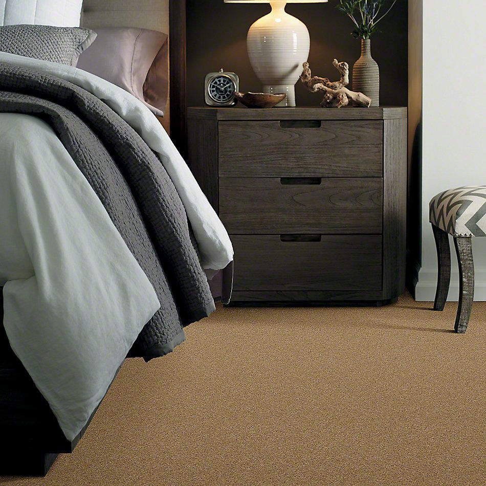 Shaw Floors Caress By Shaw Cashmere Classic Iv Navajo 00703_CCS71