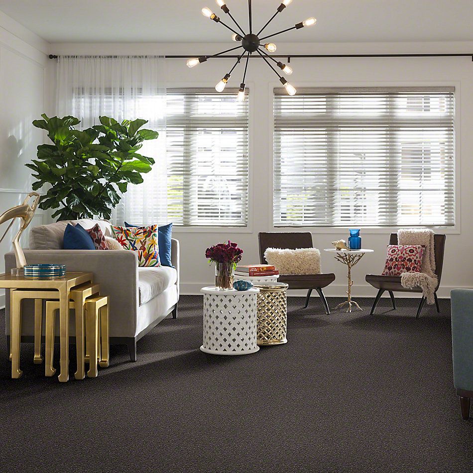 Shaw Floors What’s Up Stone Hearth 00703_E0813