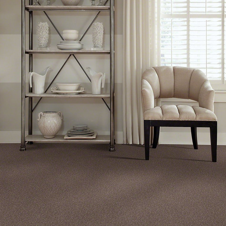 Shaw Floors Value Collections Well Played I 15′ Net Briar Patch 00703_E0847