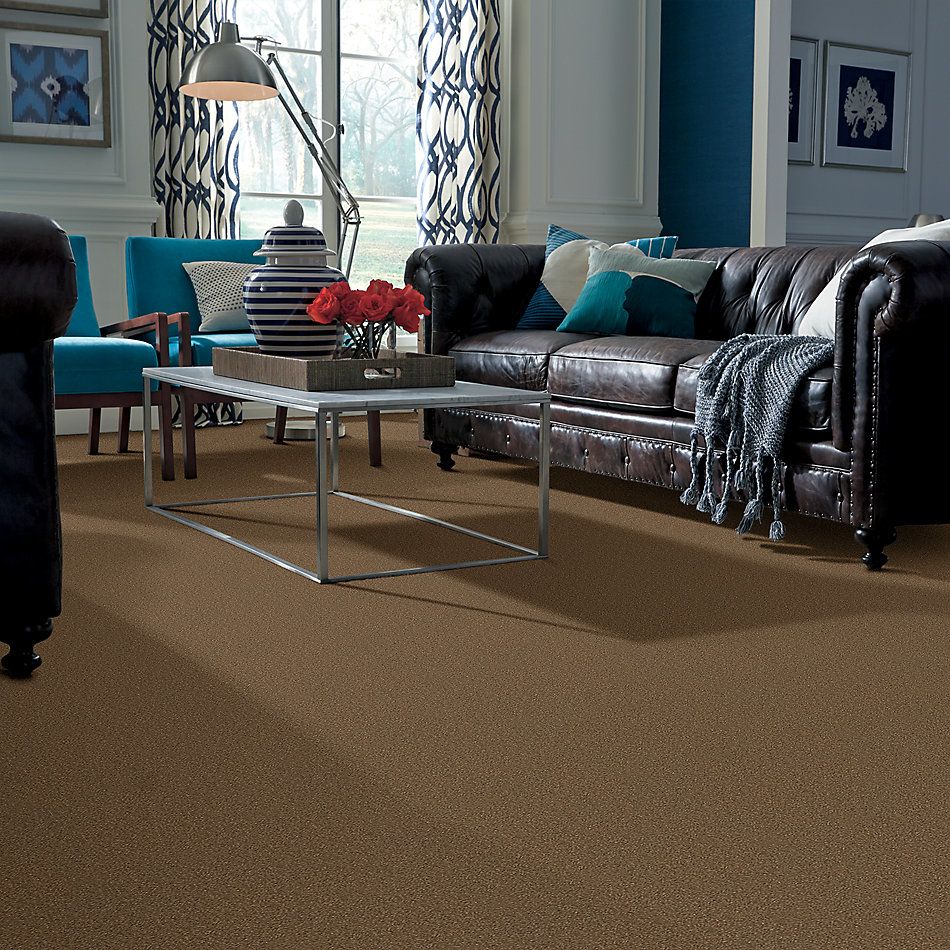 Shaw Floors Value Collections Passageway 3 12 Net Jute 00703_E9154