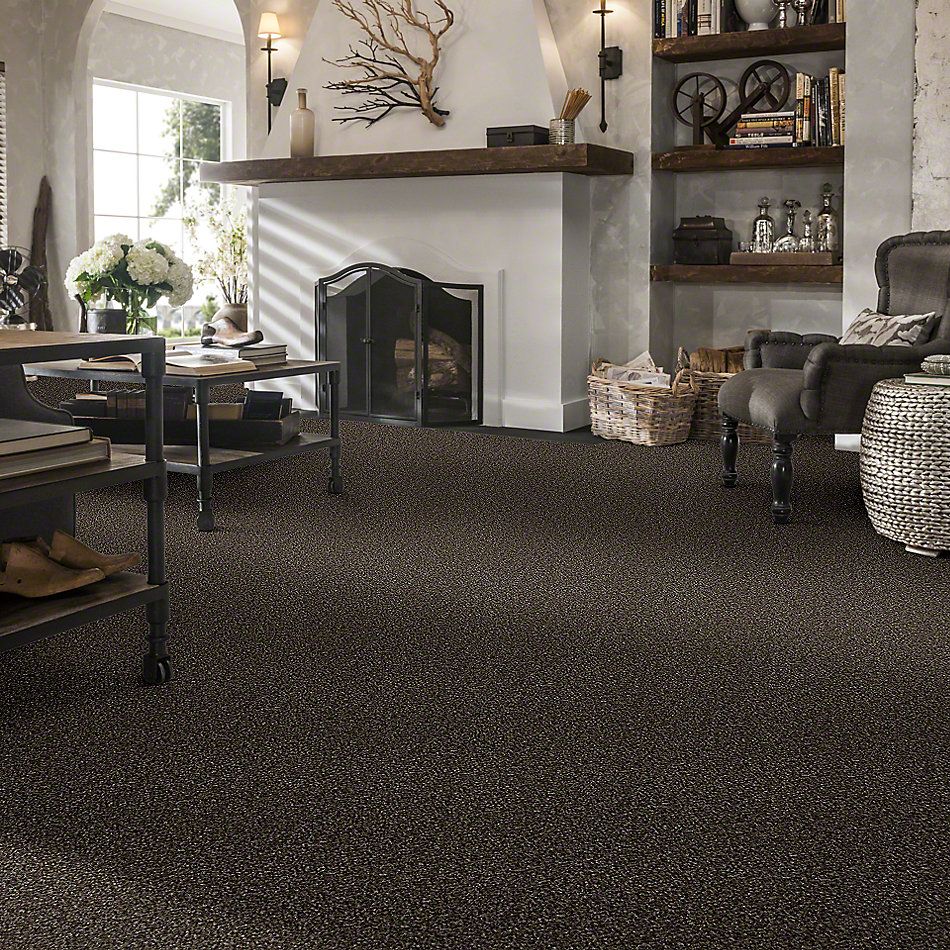 Shaw Floors Value Collections Because We Can I 15′ Net Mystic River 00703_E9313