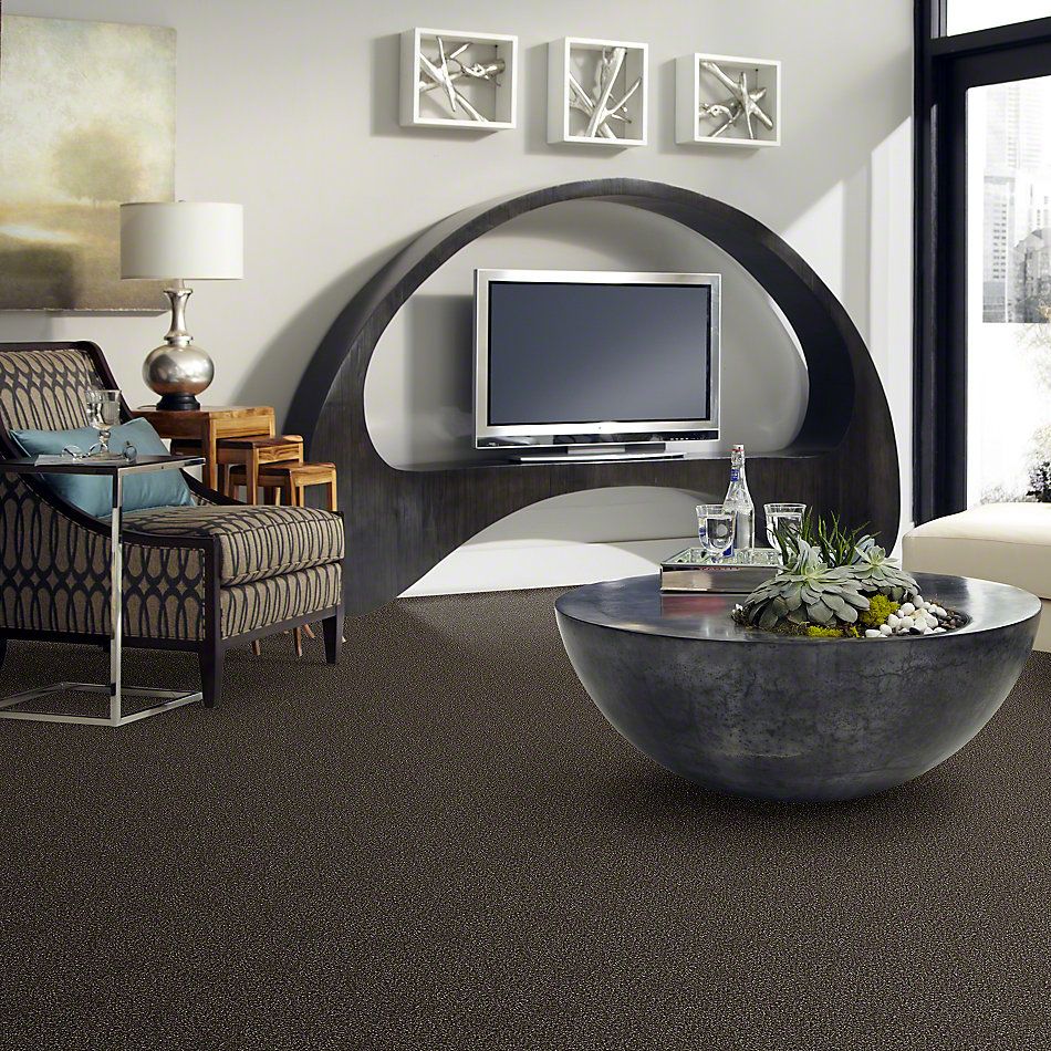 Shaw Floors Value Collections Because We Can II 12′ Net Mystic River 00703_E9314