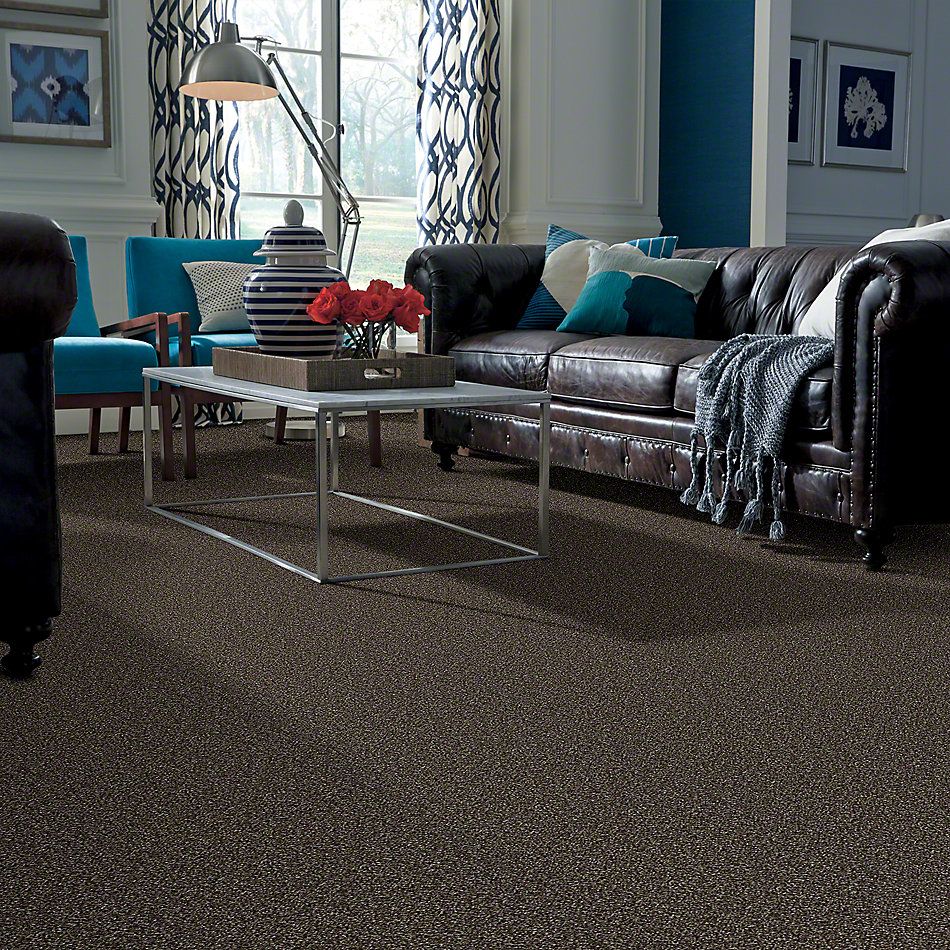 Shaw Floors Value Collections Because We Can II 15′ Net Mystic River 00703_E9315
