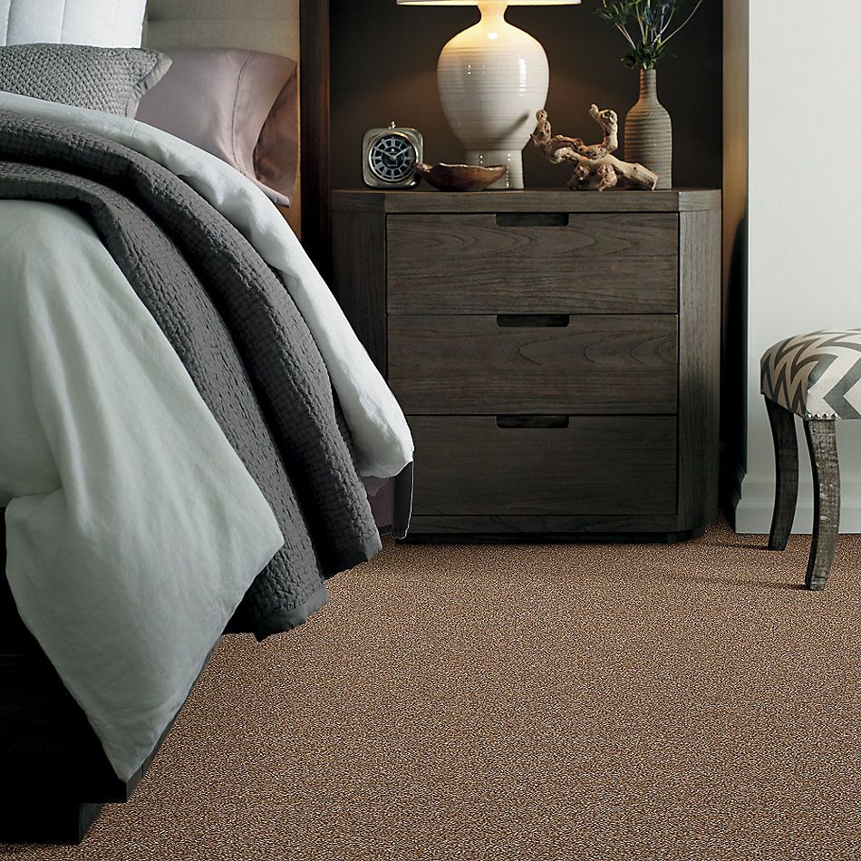 Shaw Floors Simply The Best Super Buy 55 Chestnut 00703_E9600