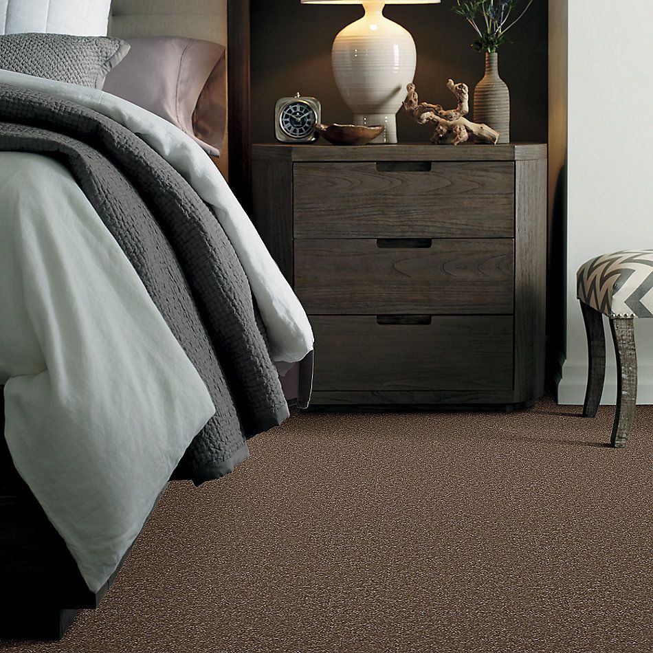 Shaw Floors Value Collections Passageway I 15 Net Jute 00703_E9620