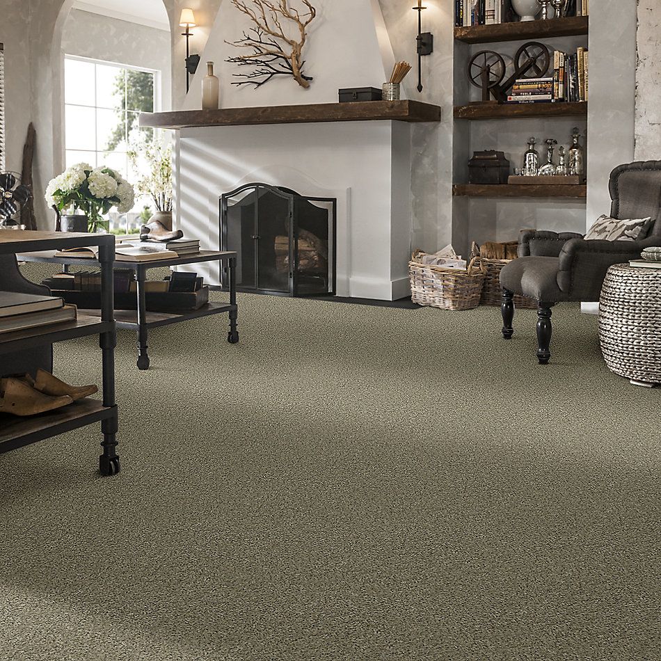 Shaw Floors Value Collections Marks The Spot II Tree House 00703_E9915