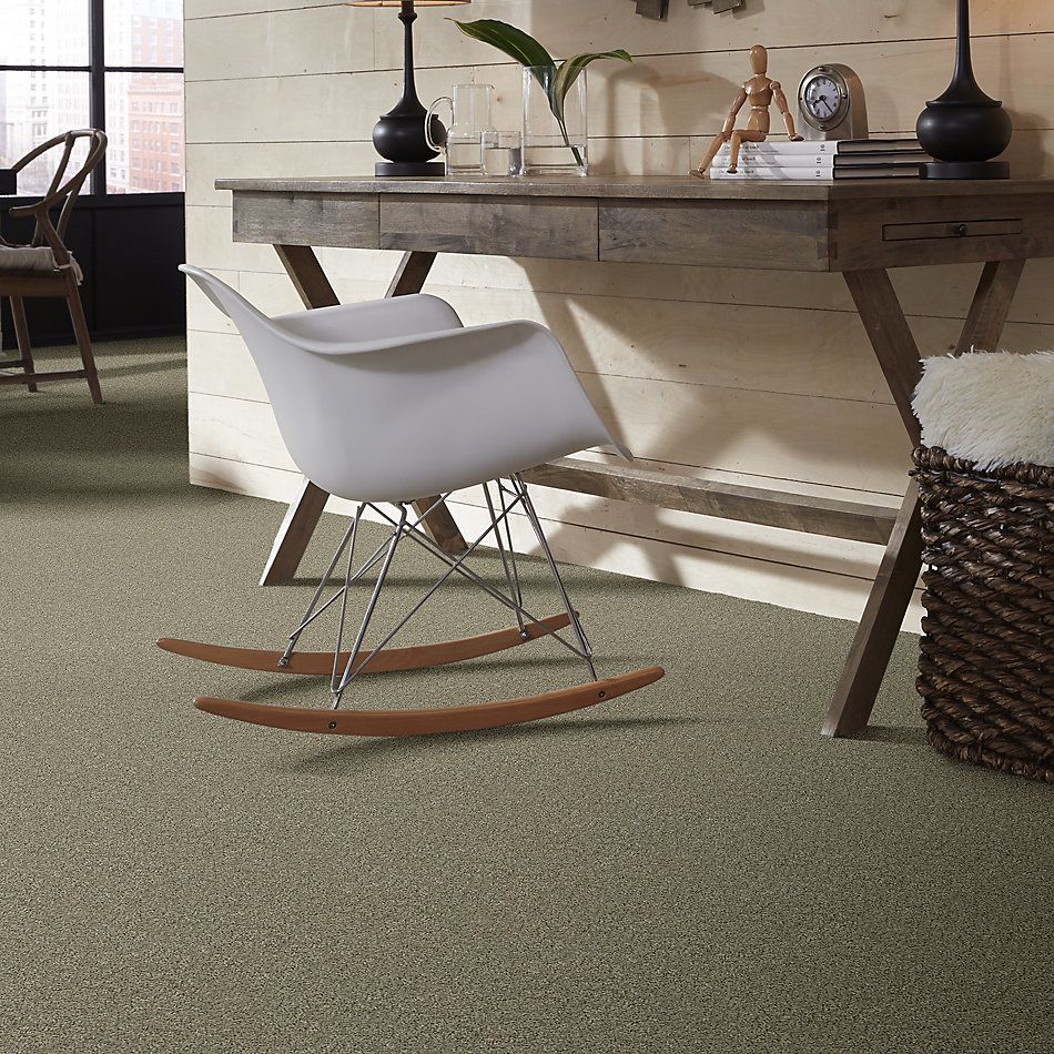 Shaw Floors Value Collections Marks The Spot II Tree House 00703_E9915