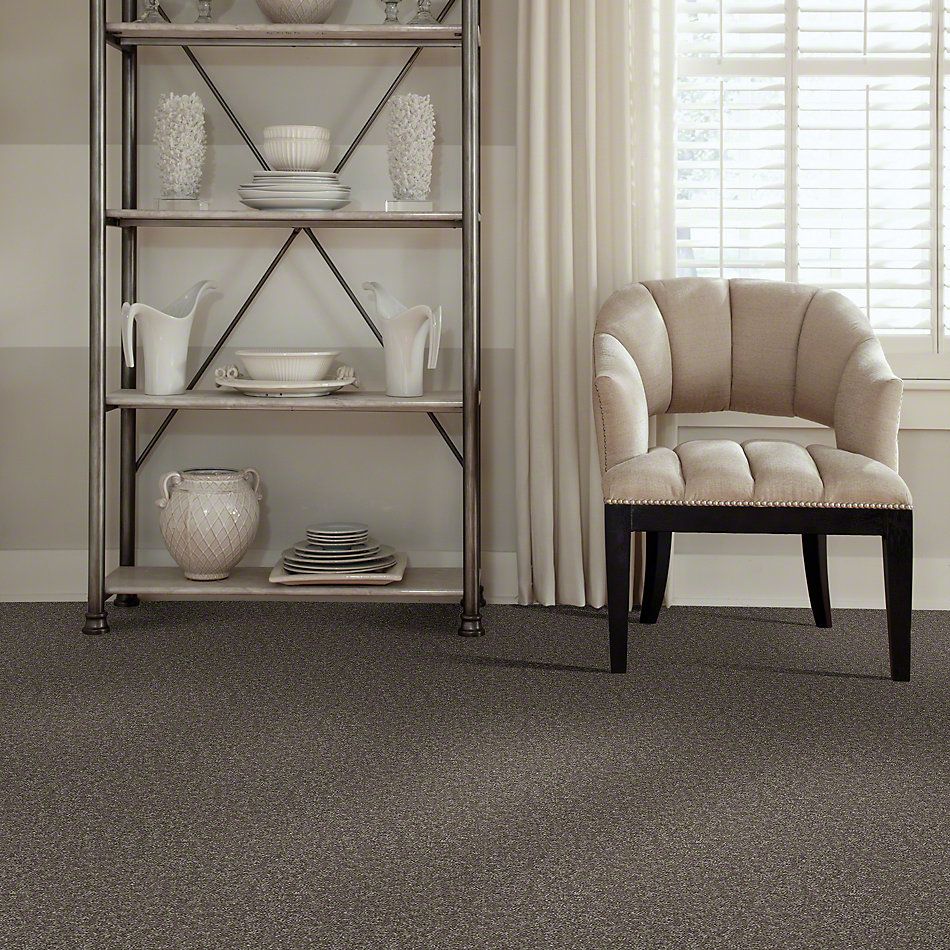 Shaw Floors SFA Drexel Hill II 15′ Driftwood 00703_EA052
