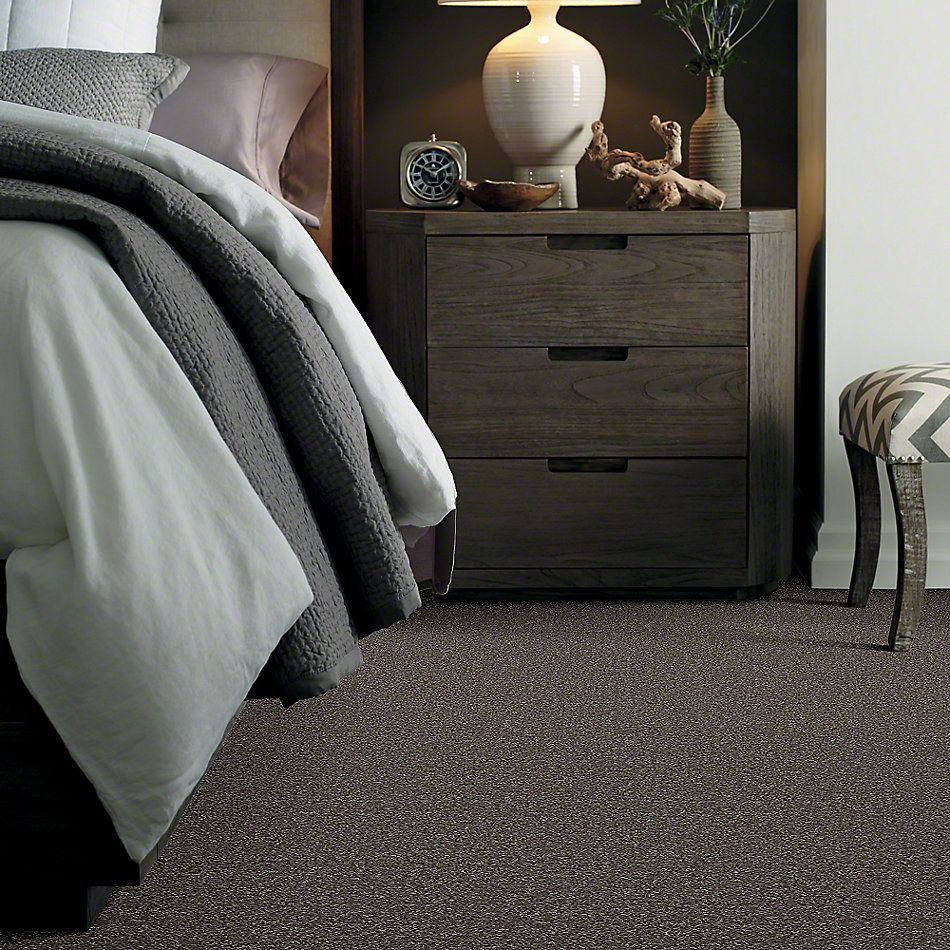 Shaw Floors SFA Drexel Hill II 12′ Driftwood 00703_EA054