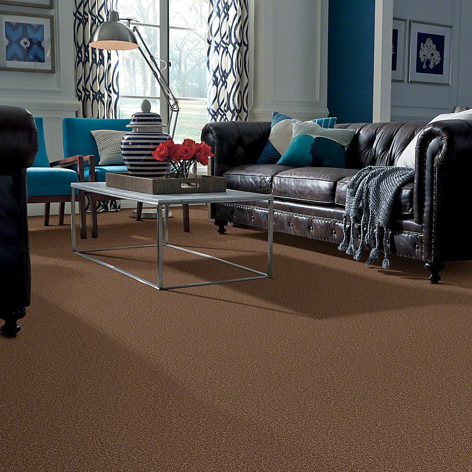 Shaw Floors Shaw Design Center Sweet Valley III 12′ Pine Cone 00703_QC424