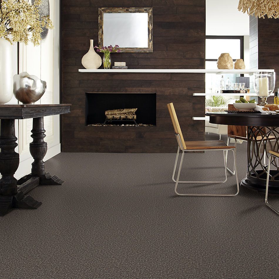 Shaw Floors Roll Special Xv864 Driftwood 00703_XV864