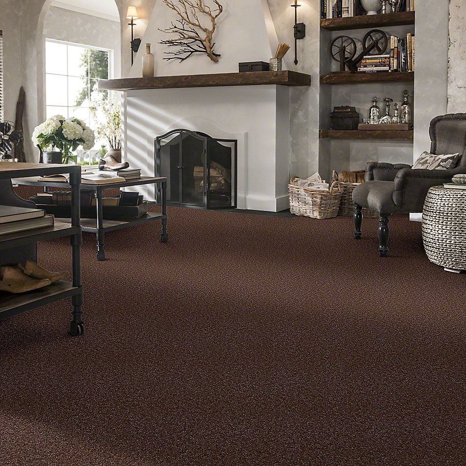 Shaw Floors This Is It Plus Coffee Bean 00704_52N08