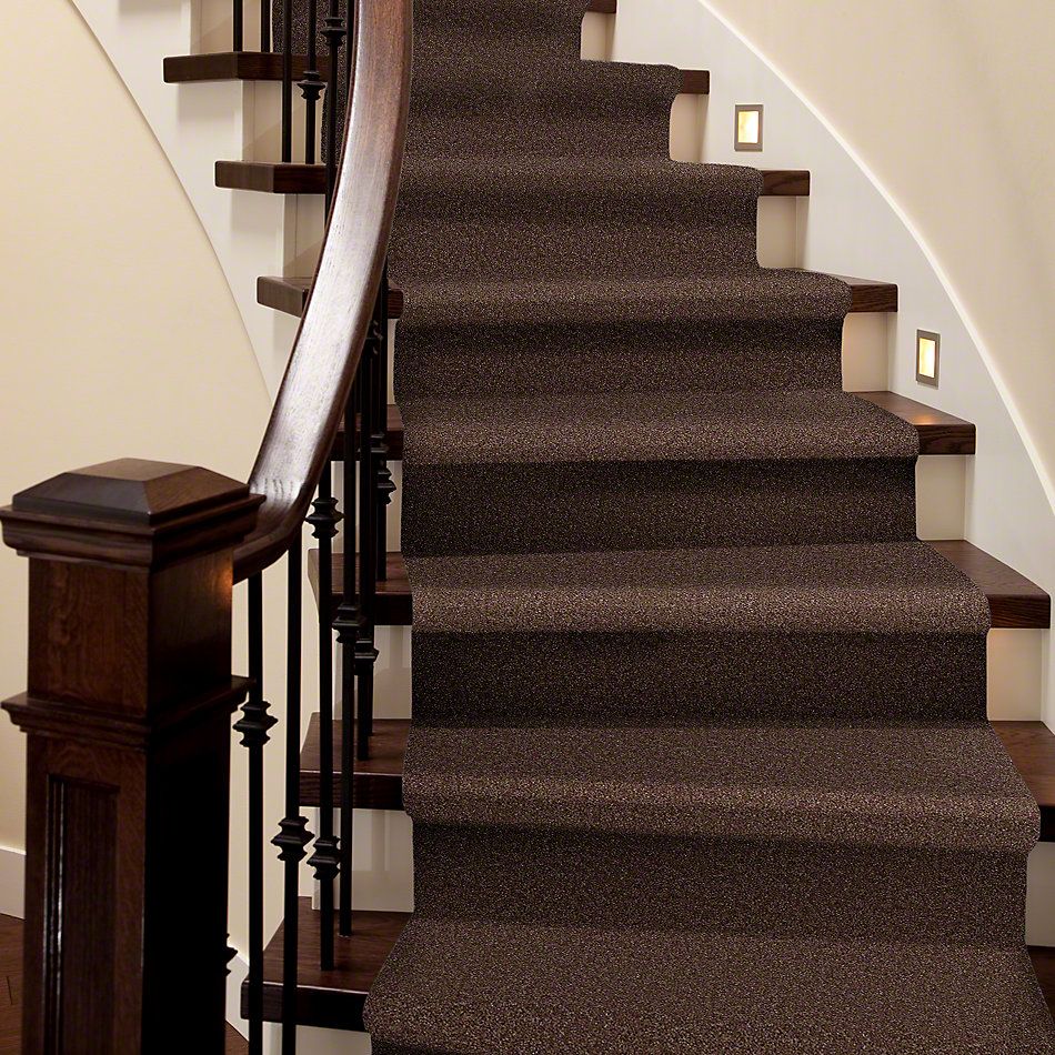 Shaw Floors This Is It Plus Coffee Bean 00704_52N08