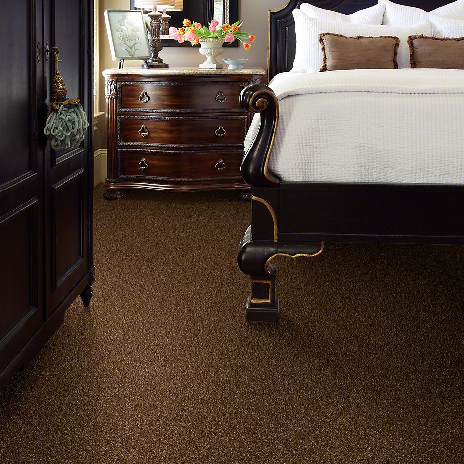 Shaw Floors Town Creek II Brass Button 52S30_00704