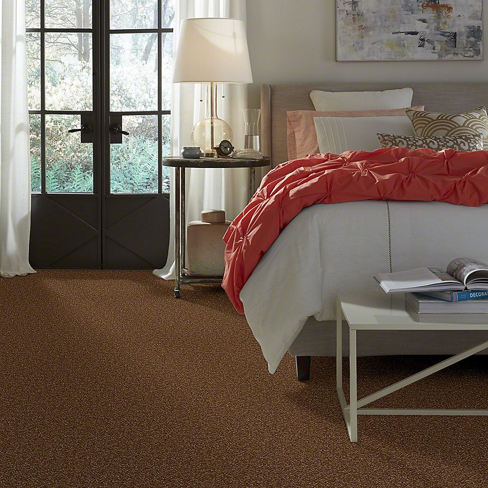 Shaw Floors Town Creek II Brass Button 52S30_00704