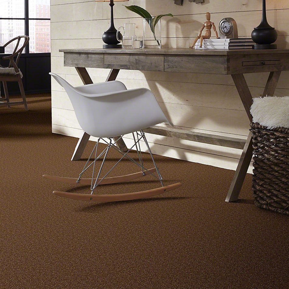 Shaw Floors Town Creek II Brass Button 52S30_00704