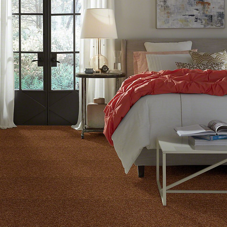 Shaw Floors Town Creek I 15′ Brass Button 52V12_00704