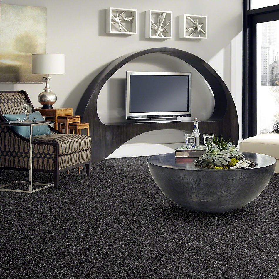 Shaw Floors Shaw Design Center Honest To Goodness Kensington 00704_5C793