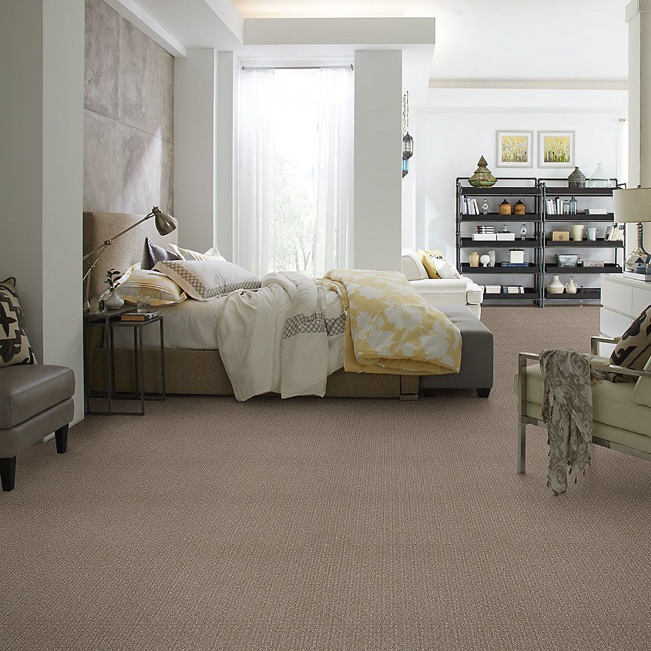 Shaw Floors Value Collections Transform Net Simply Tan 00704_5E351