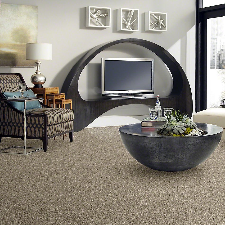 Shaw Floors Entourage Texture Smooth Slate GF00704_E0342