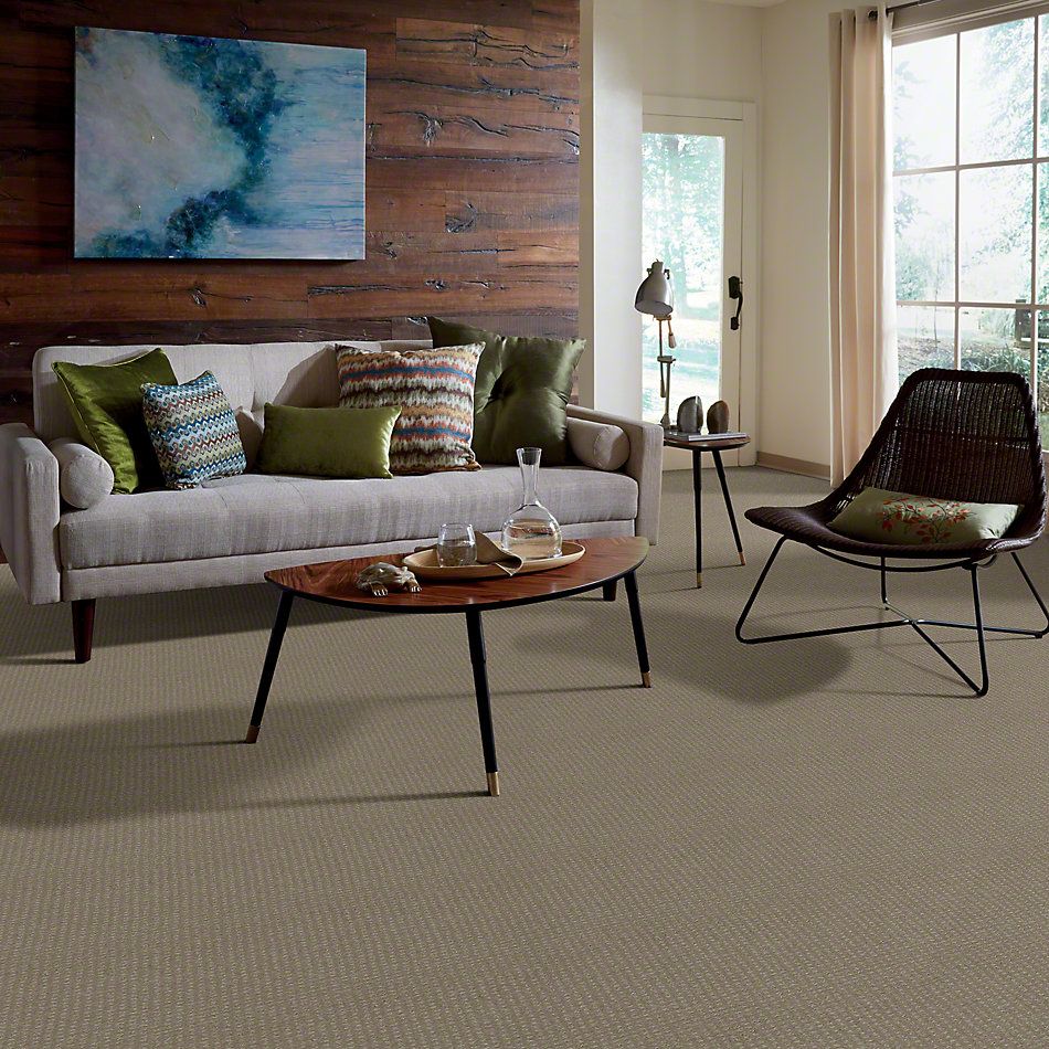 Shaw Floors Enduring Comfort Pattern Smooth Slate 00704_E0404