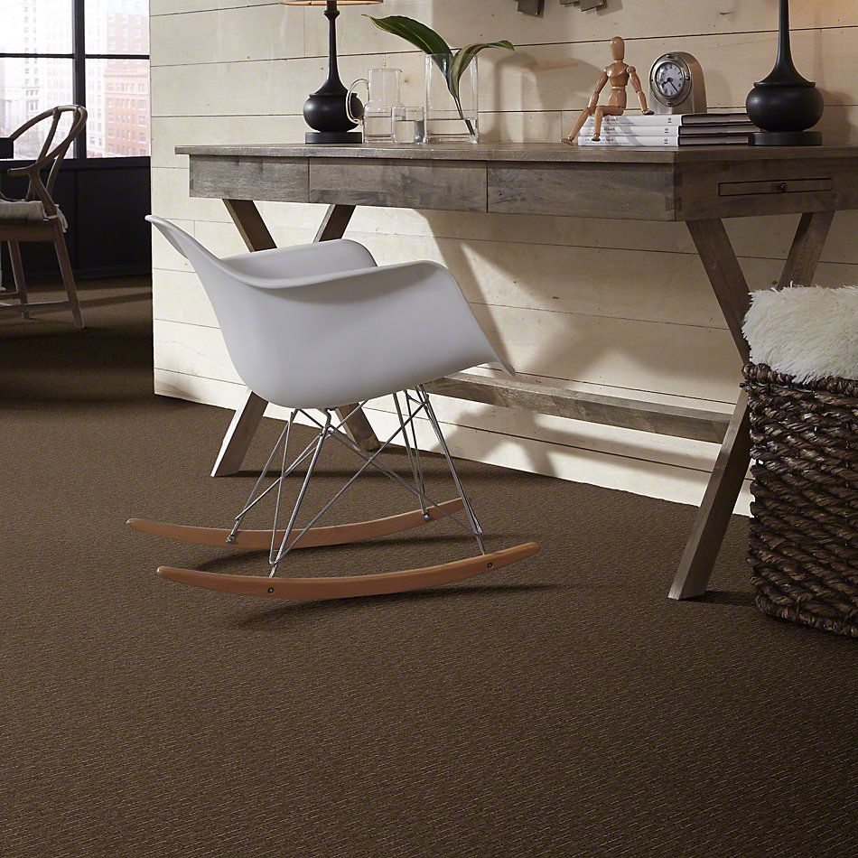 Shaw Floors Speed Of Light Townhouse 00704_E0528