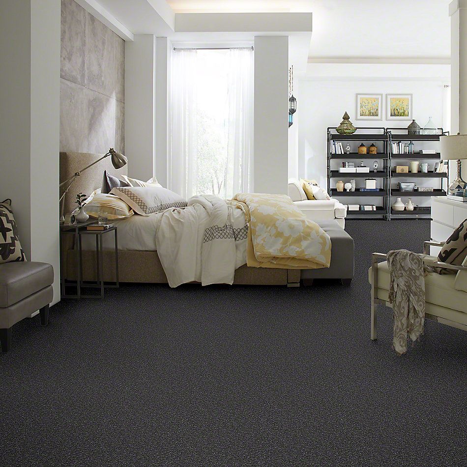 Shaw Floors Value Collections Something Sweet Net Kensington 00704_E0924
