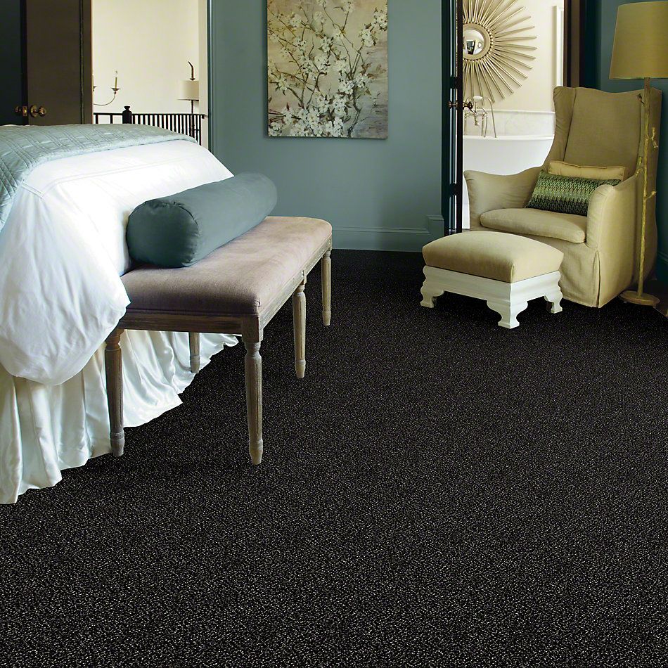 Shaw Floors Simply The Best Because We Can II 12′ Wild Horses 00704_E9187