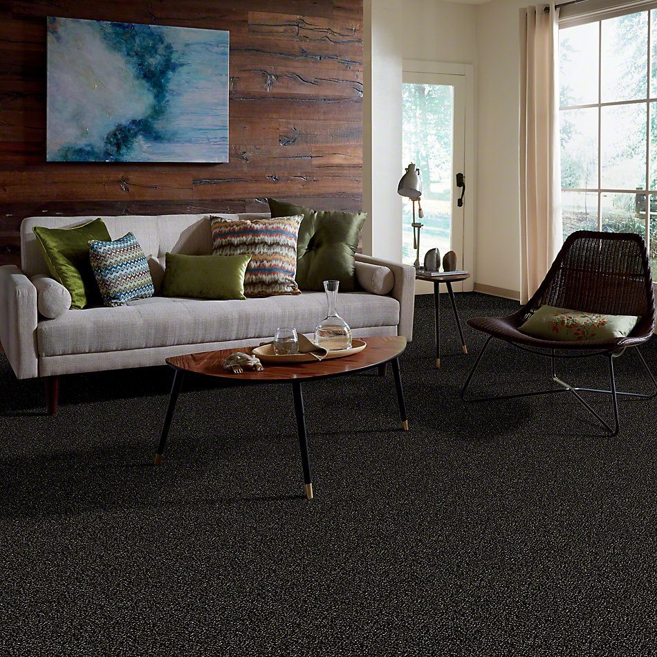 Shaw Floors Value Collections Because We Can II 15′ Net Wild Horses 00704_E9315