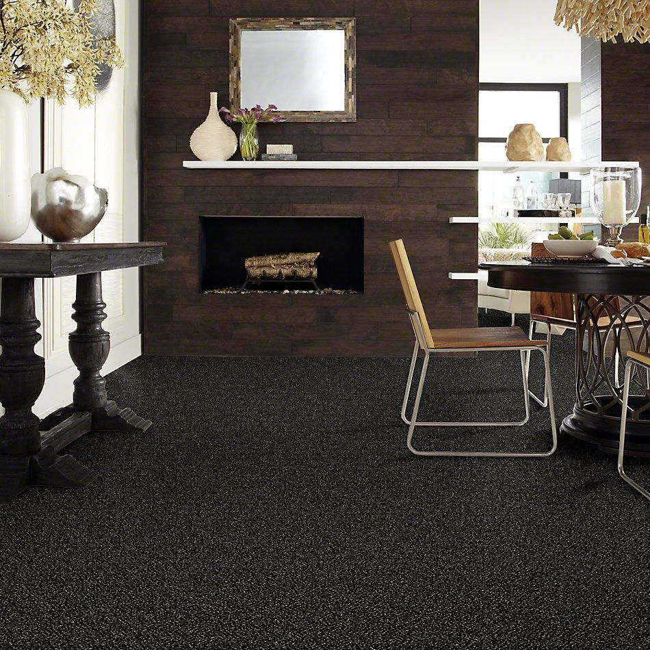 Shaw Floors Value Collections Because We Can III 15′ Net Wild Horses 00704_E9317