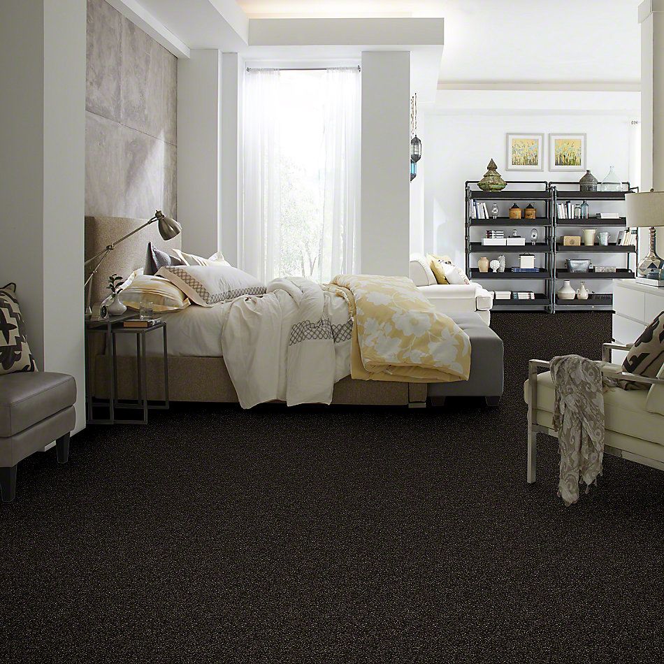 Shaw Floors Simply The Best Of Course We Can I 15′ Rich Earth 00704_E9422