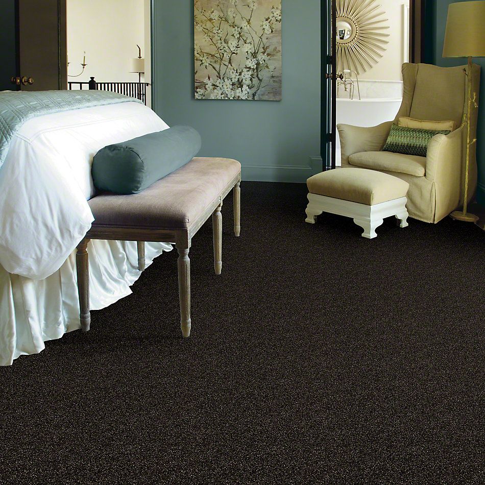 Shaw Floors Value Collections Of Course We Can I 15 Net Rich Earth 00704_E9432