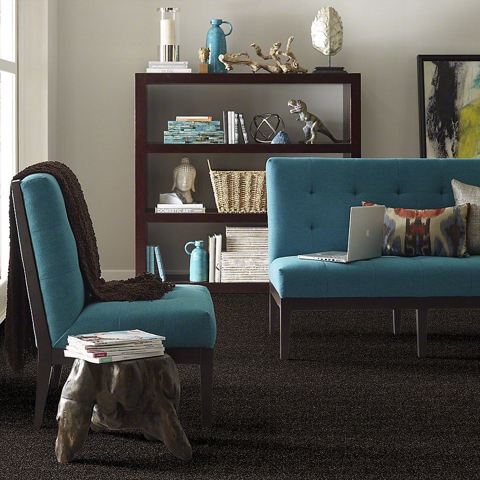 Shaw Floors Value Collections Of Course We Can III 15′ Net Rich Earth 00704_E9444